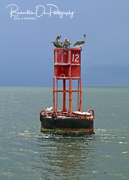 Buoy 12 print for sale.