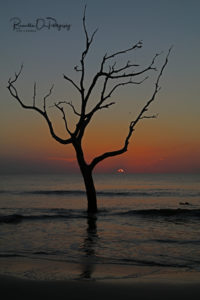 Driftwood Beach Sunrise 2 photo for sale.