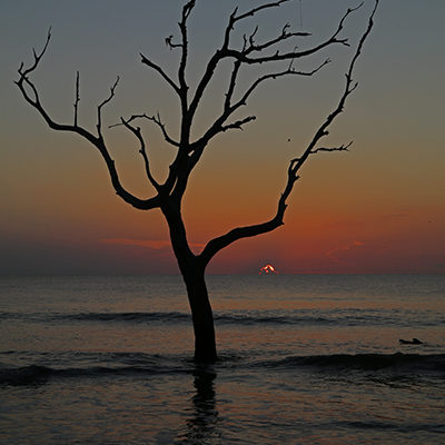 Driftwood Beach Sunrise 2 photo for sale.